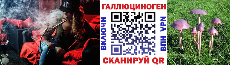 купить наркоту  Городец  Галлюциногенные грибы прущие грибы 